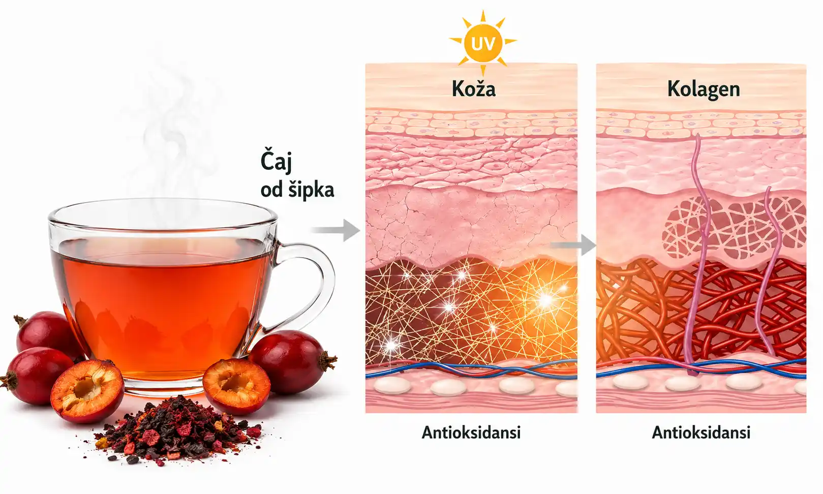 Čaj od šipka za kožu i starenje